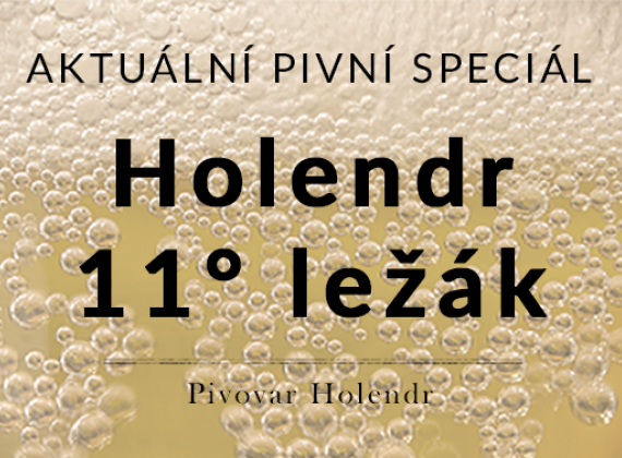Holendr - dvanáctka 12° světlý ležák