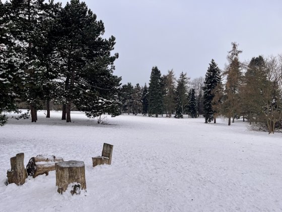 Z Kavčích hor jako na horách – s výhledem na Pražský hrad